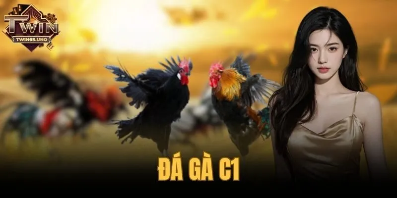 đá gà C1