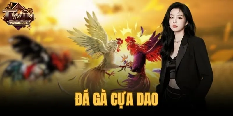 đá gà cựa dao