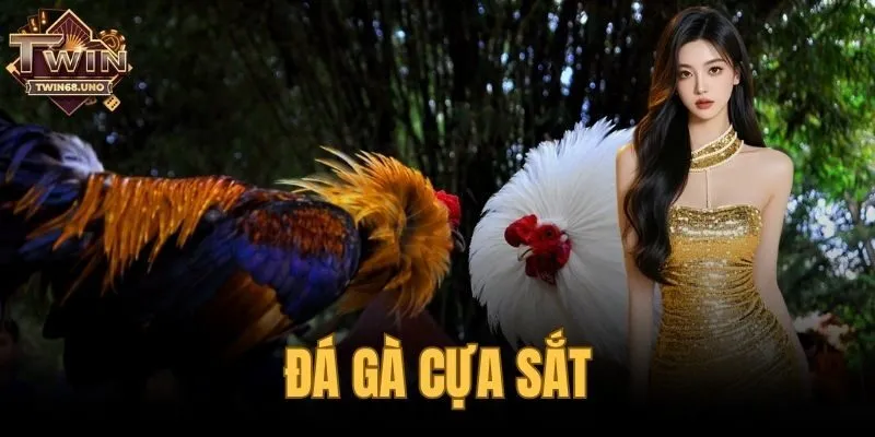 đá gà cựa sắt
