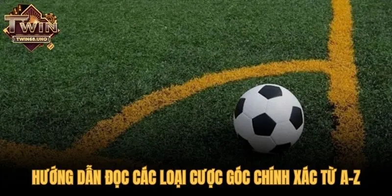 Tìm hiểu các loại hình đặt góc phổ biến nhất