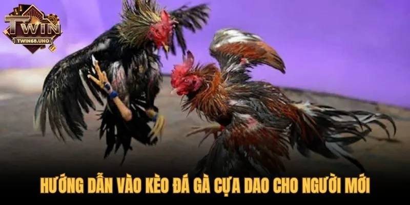 Nắm bắt các loại kèo và cách đọc bảng cược