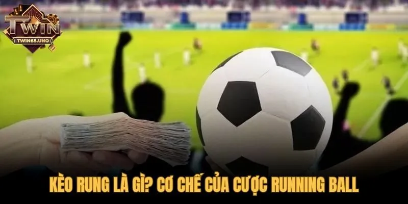 Kèo rung là gì với tỷ lệ biến động theo thời gian thực