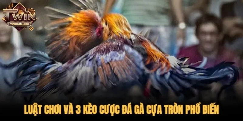 Luật chơi và 3 kèo cược định đoạt thắng thua trong trận đấu