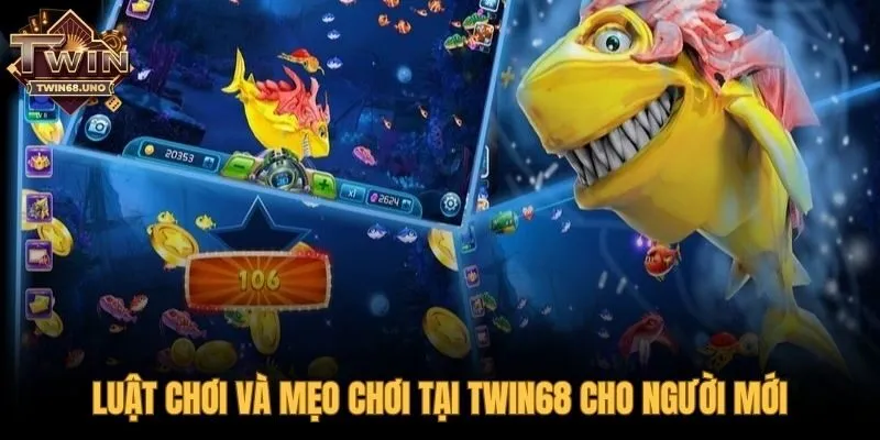 Luật chơi cơ bản cùng các mẹo bắn ria và theo đàn