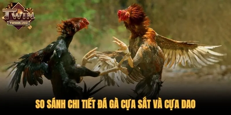 Phân biệt sự khác nhau giữa đá gà cựa sắt và cựa dao