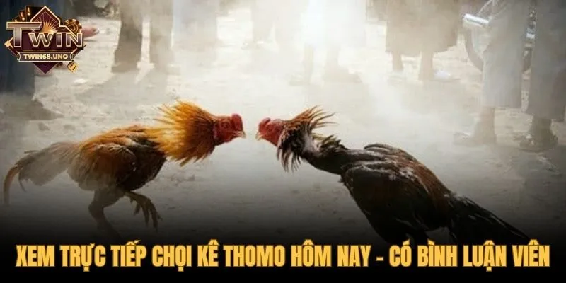 Trải nghiệm xem trực tiếp Full HD có bình luận viên chuyên sâu